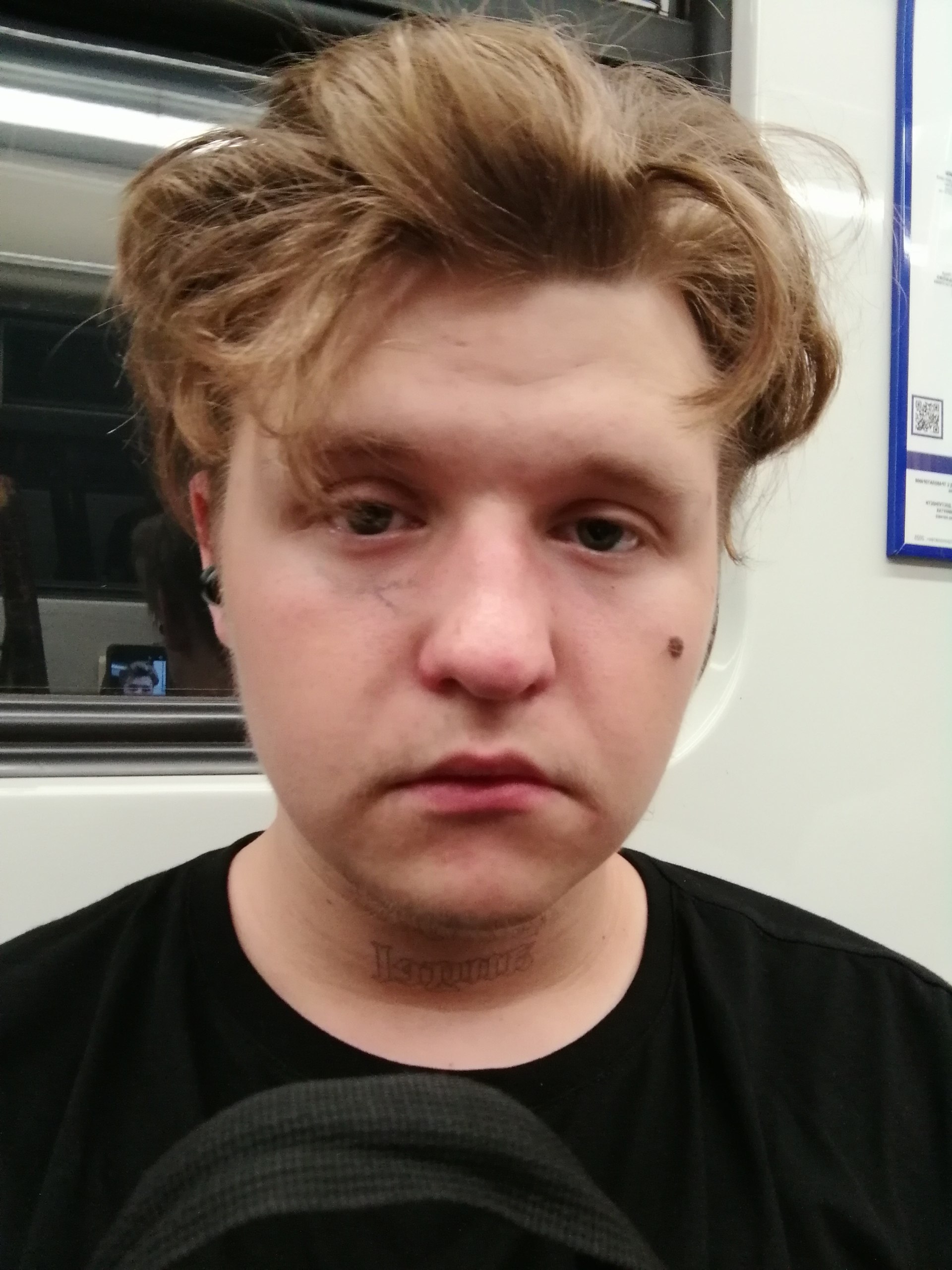 Разработчик